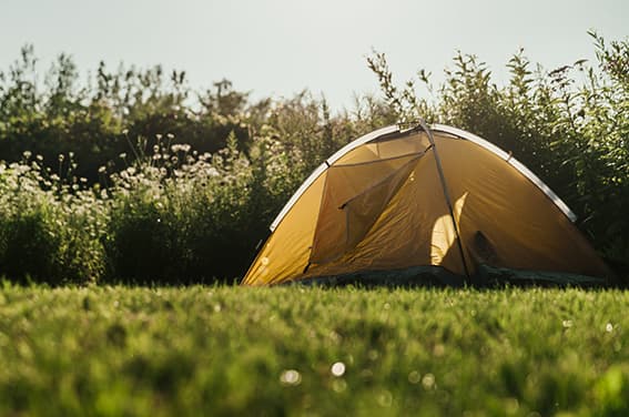 Camping Polder et Vacances - Passage / Nuit